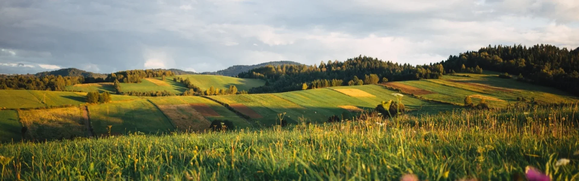 Poland_1
